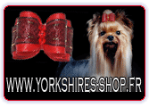 www.yorkshires-shop.fr